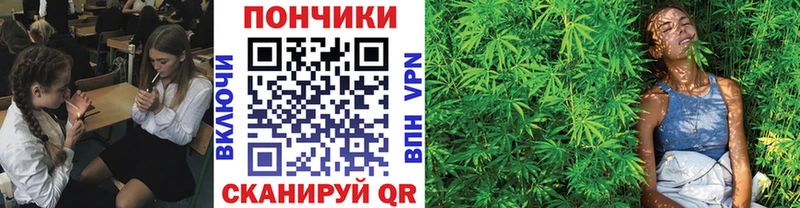 OMG вход  Северская  Шишки марихуана THC 21%  продажа наркотиков 